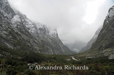 Road to Milford Sound, New Zealand